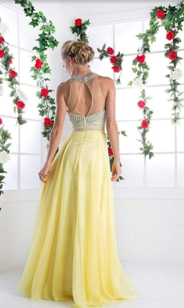 
                      
                        Cinderella Divine Halter Beaded Gown
                      
                    