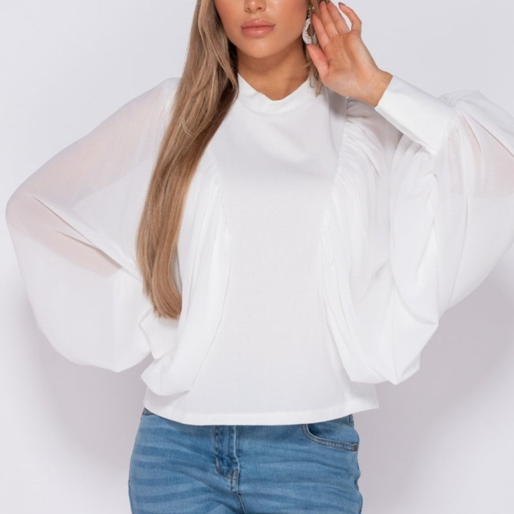 
                      
                        Batwing Chiffon Sleeve High Neck Blouse
                      
                    