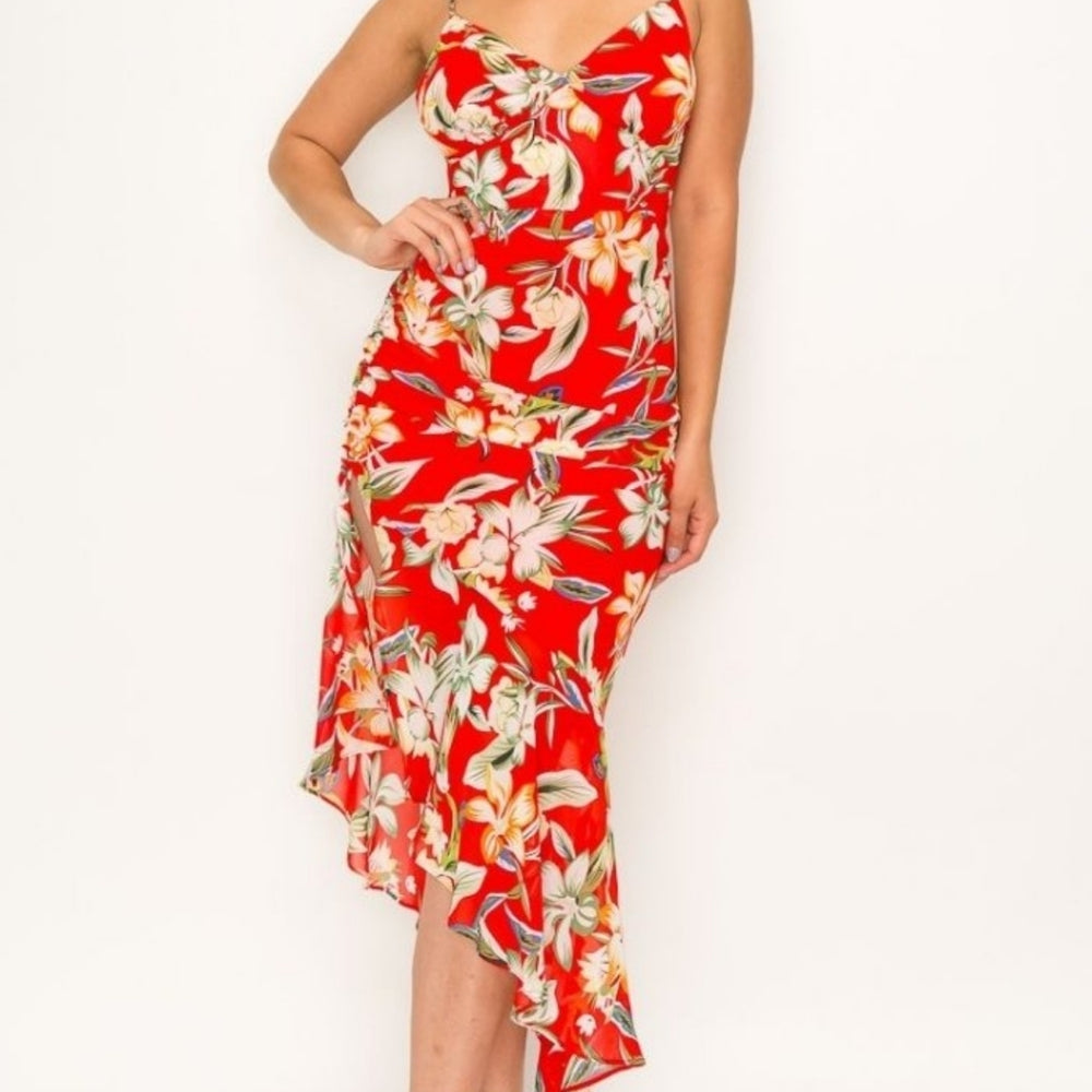 
                      
                        Banjul Sleeveless Floral Print Dress
                      
                    