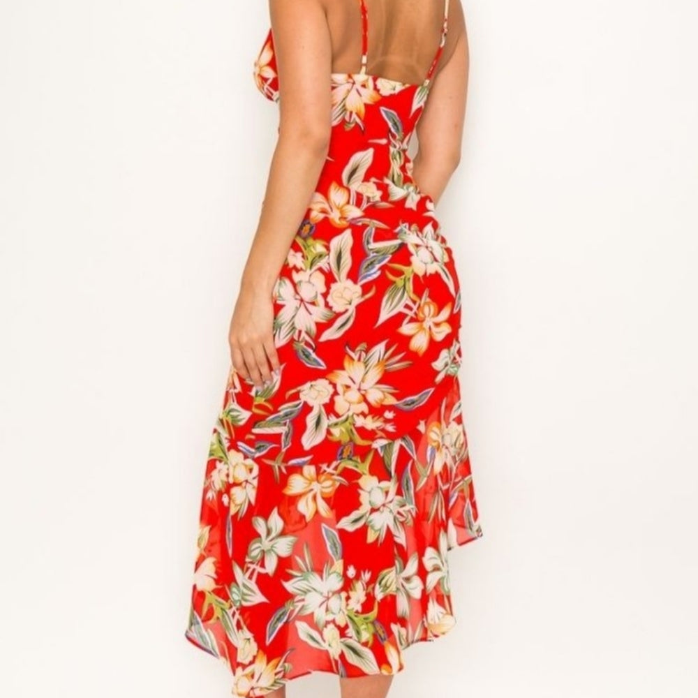 
                      
                        Banjul Sleeveless Floral Print Dress
                      
                    