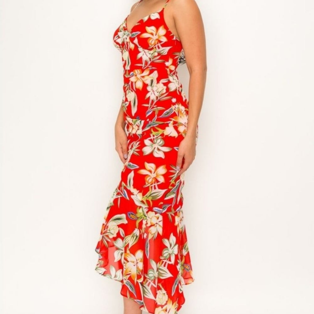 
                      
                        Banjul Sleeveless Floral Print Dress
                      
                    