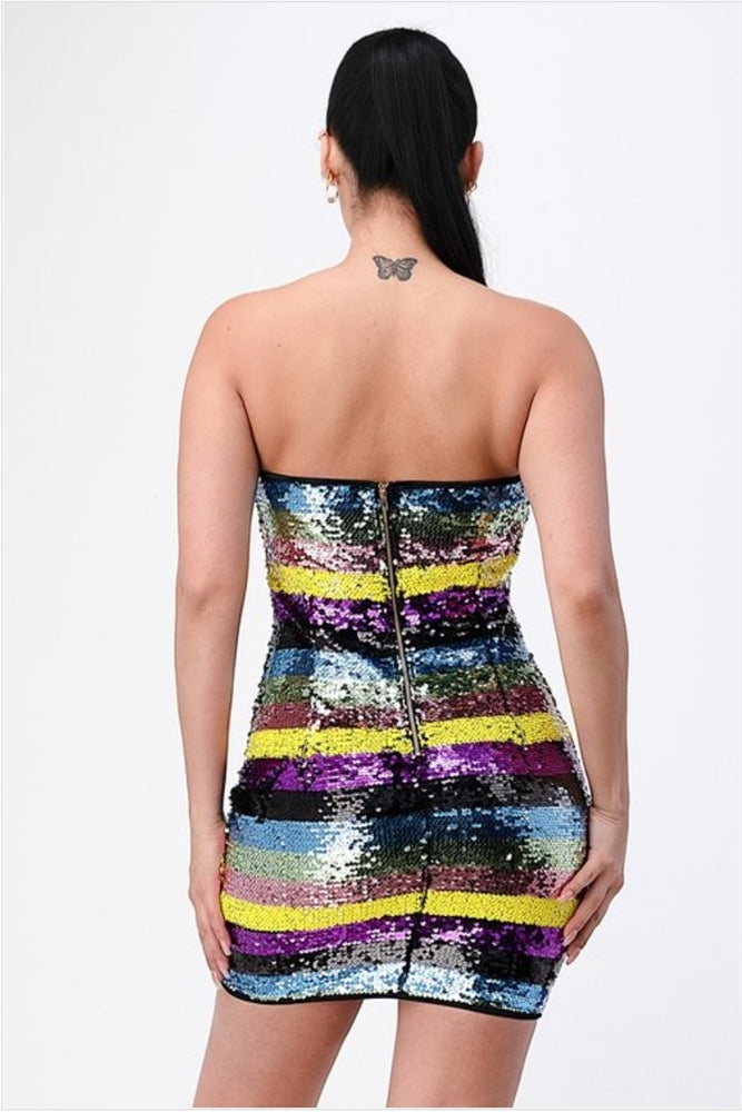 
                      
                        Multicolor Sequins Mini Dress
                      
                    