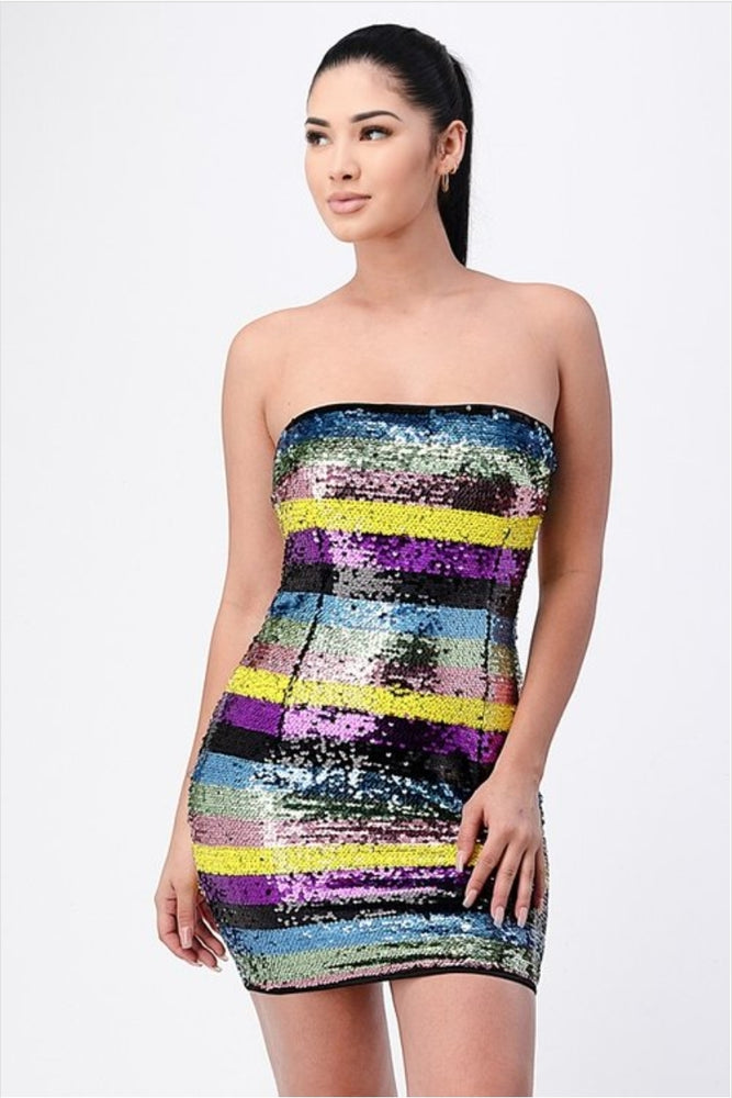 
                      
                        Multicolor Sequins Mini Dress
                      
                    