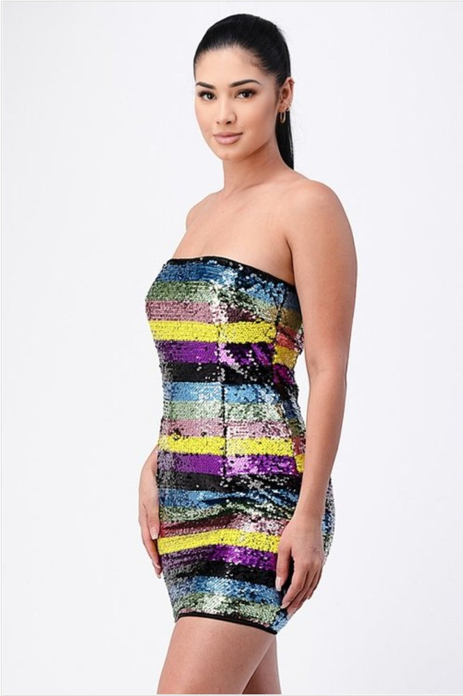 
                      
                        Multicolor Sequins Mini Dress
                      
                    