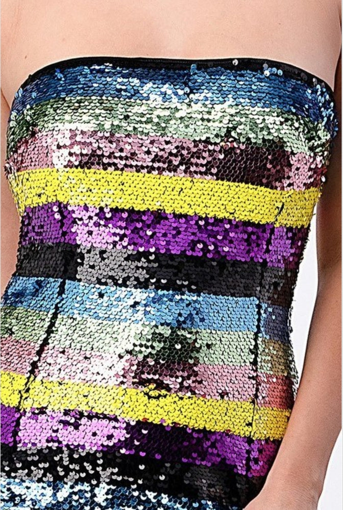 
                      
                        Multicolor Sequins Mini Dress
                      
                    